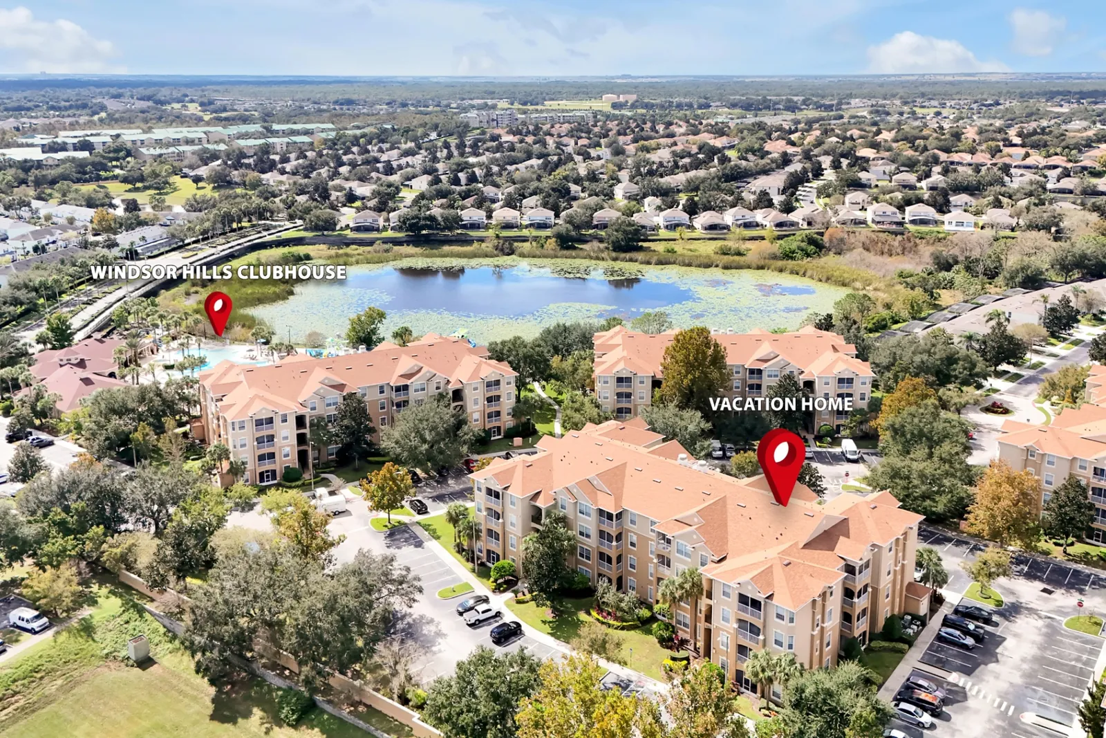 Galaxy & Ears Getaway is just a hop and skip away from the pool